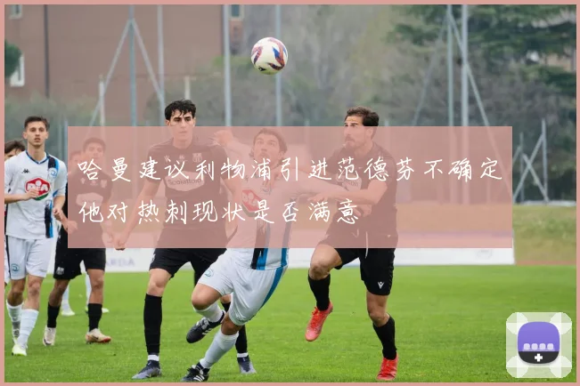 哈曼建议利物浦引进范德芬不确定他对热刺现状是否满意