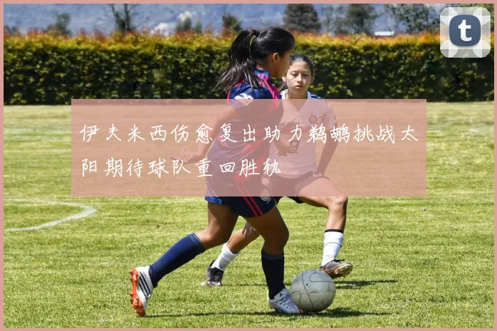 伊夫米西伤愈复出助力鹈鹕挑战太阳期待球队重回胜轨