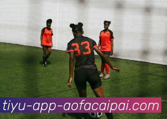 大发彩票发展历程